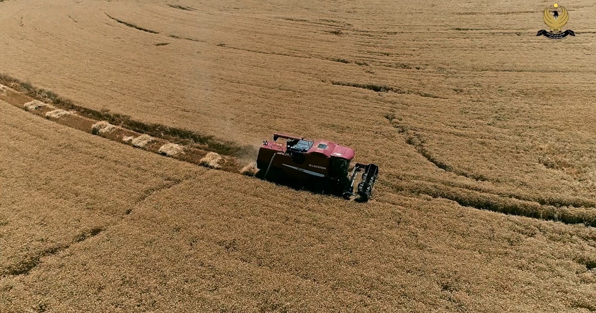 KRG Strengthens Food Security with Expanded Wheat Storage and Marketing Support