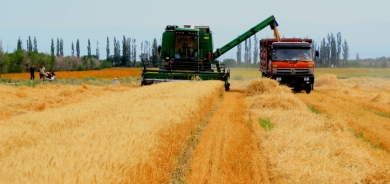 من مستهلك إلى مُصدِّر.. كوردستان تُحيي قطاعها الزراعي وتتجه لتكون سلة غذاء الشرق الأوسط