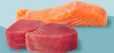 السلمون أم التونة... أيهما يحتوى على «أوميغا 3» أكثر؟