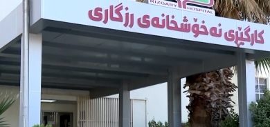 النساء يتولّين مناصب عليا وحساسة في المؤسسات الحكومية بإقليم كوردستان