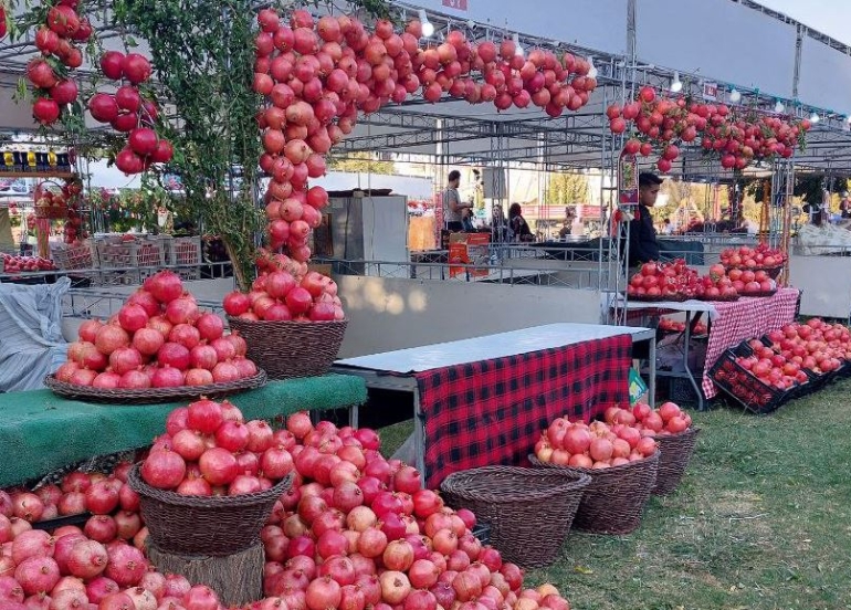 Halabja Kicks Off 11th Annual Pomegranate and Autumn Festival