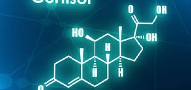 في أي وقت من اليوم تصل مستويات الكورتيزول إلى ذروتها؟