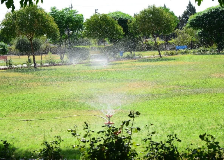 ئەندازیار ڕێبین ئەحمەد حەوێز  بەڕێوەبەری ئەندازەی پاركەكانی هەولێر:  ساڵانە نزیكەی یەك ملیۆن و500 هەزار دار و نەمام و گوڵ لە سێ نەمامگەی شاری هەولێر بەرهەم دێت