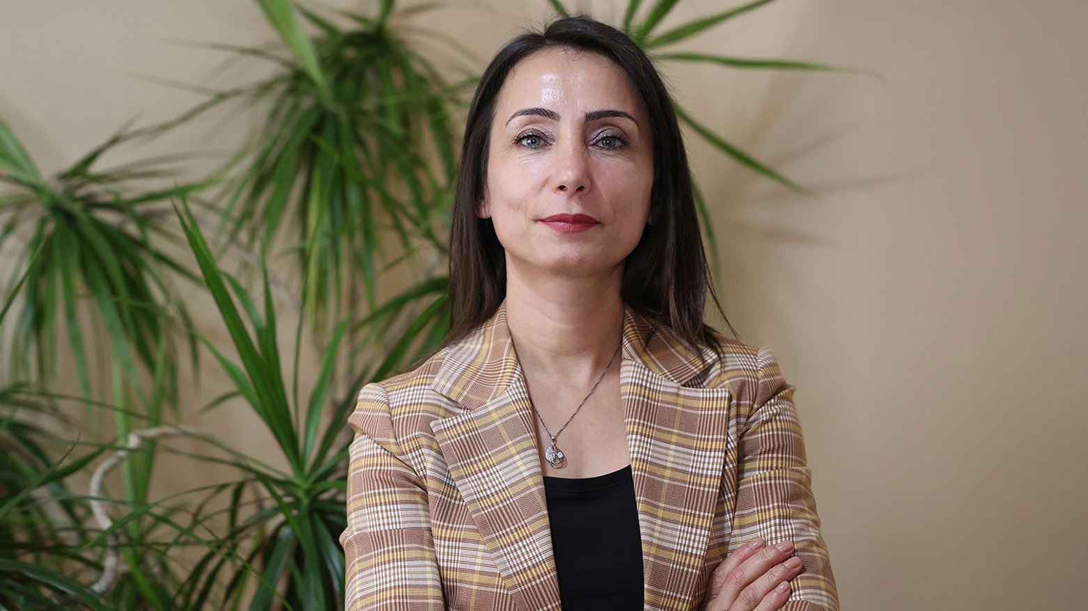 Hatîmogullarî: Divê Demîrtaş were berdan û komîsyon bi Ocalan re hevdîtinê bike