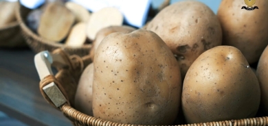 Kurdistan Region Boosts Agricultural Exports, Sends 6,000 Tons of Potatoes to UAE