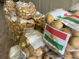 إقليم كوردستان يصدر 100 طن بطاطس إلى الإمارات كمرحلة أولى