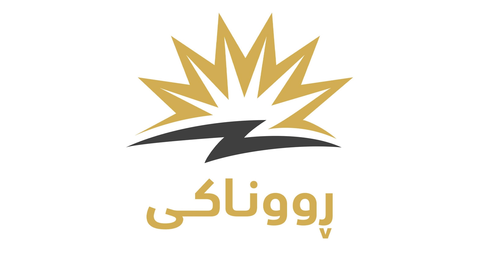 نقابة الجيولوجيين: مشروع 