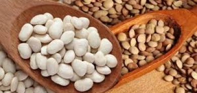 العدس أم الفاصوليا... أيهما يوفر المزيد من البروتين والألياف؟