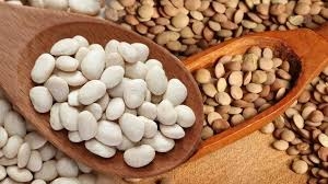 العدس أم الفاصوليا... أيهما يوفر المزيد من البروتين والألياف؟