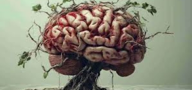 كيف يُسهم الذكاء الاصطناعي ووسائل التواصل الاجتماعي في «تعفّن الدماغ»