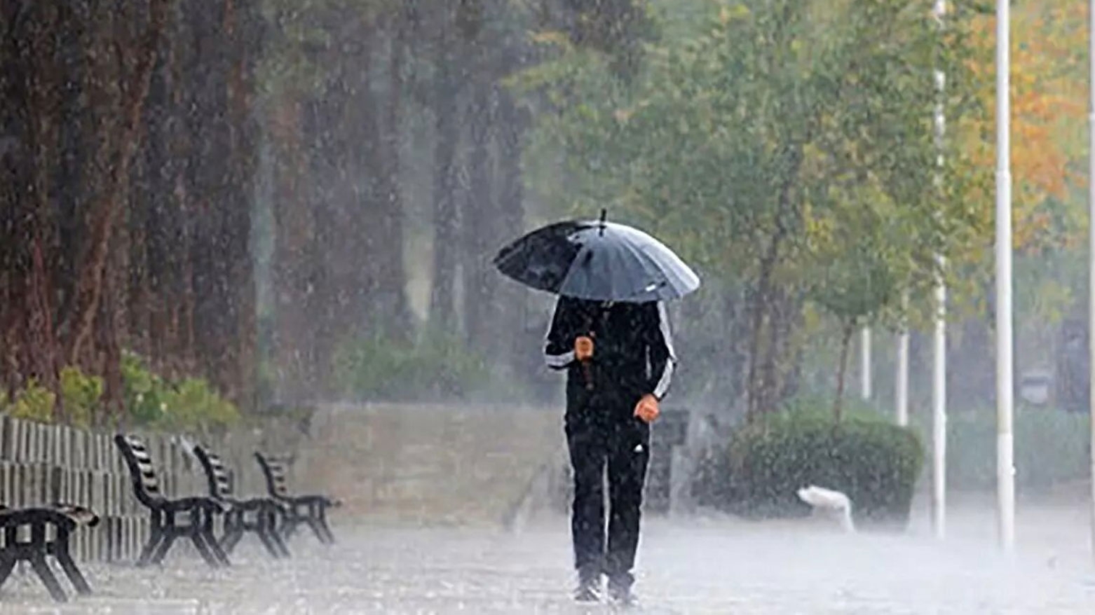 الأنواء الجوية بإقليم كوردستان تنشر معدل الأمطار خلال الساعات الـ12 الماضية