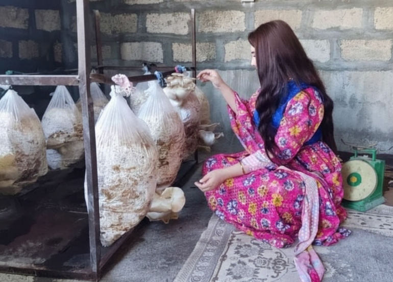 نزار محەمەد:  بۆ بژێوی ژیان و هاوكاریكردنی باوكە كەمئەندامەكەم و دایكە نەخۆشەكەم كارم كرد