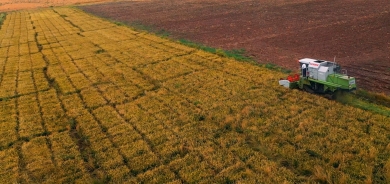 حكومة أقليم كوردستان تولي اهتماماً كبيراً بالاستثمار في القطاع الزراعي