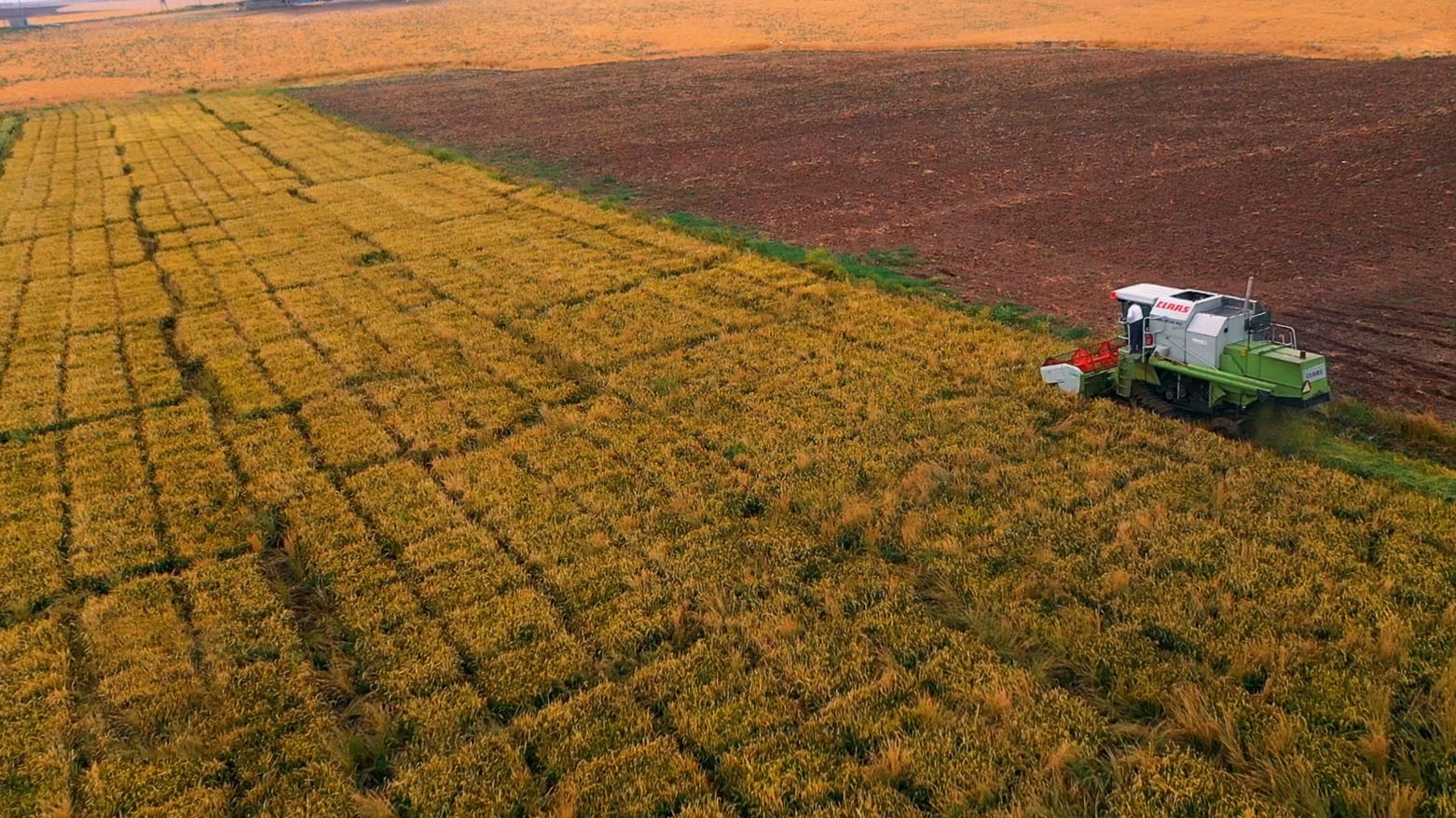 حكومة أقليم كوردستان تولي اهتماماً كبيراً بالاستثمار في القطاع الزراعي