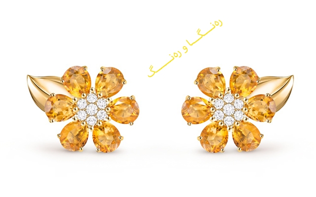 گوارەی بچووک بۆ دەركەوتنی ڕۆژانەت