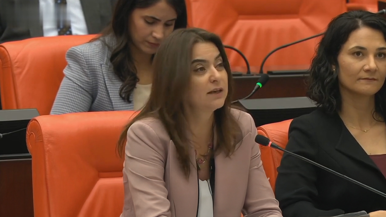 Peyama Ocalan gihîşt Parlamentoyê: 