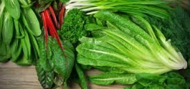 6 فوائد صحية لتناول الخضراوات الورقية يومياً