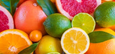 الزنك وفيتامين «سي»... شراكة ذهبية لمقاومة نزلات البرد وتقوية المناعة