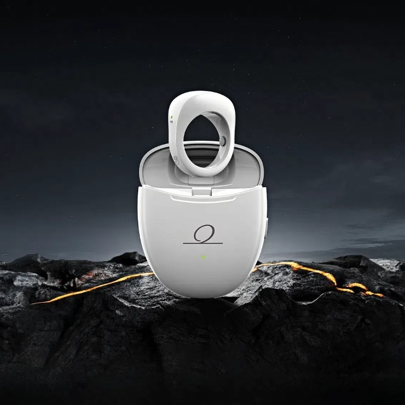 ئەڵقەی وەرگێڕ و ژیر