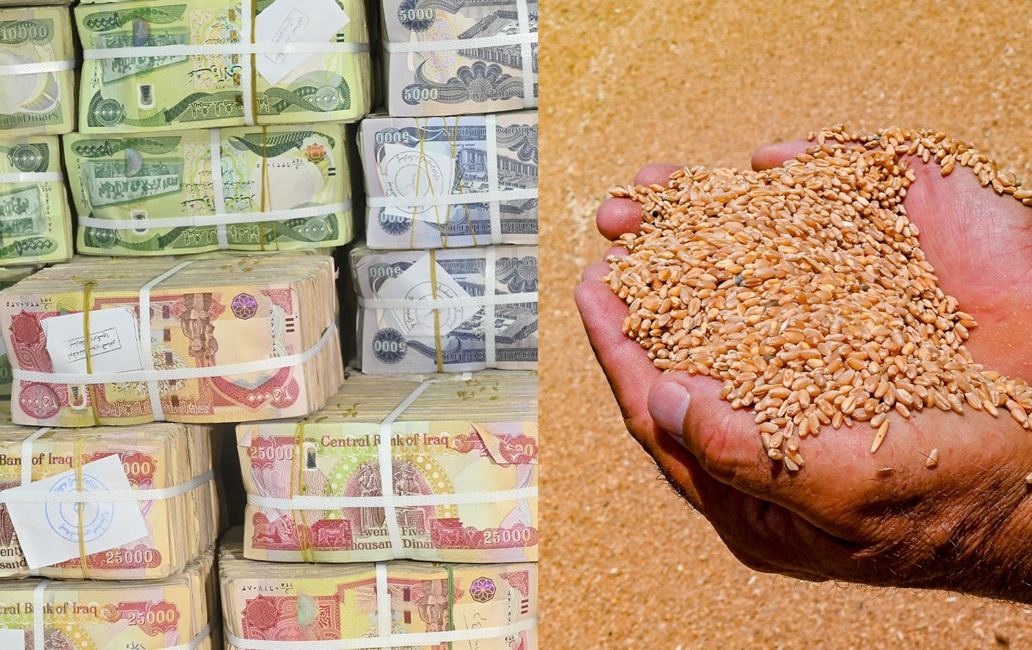 بغداد ترسل 24 مليار دينار كمستحقات لمزارعي إقليم كوردستان