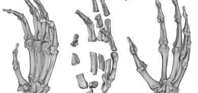 بۆ زانیاریت، بەبەردبووی مرۆڤ