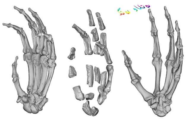 بۆ زانیاریت، بەبەردبووی مرۆڤ