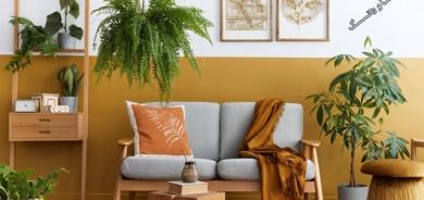 ڕازاندنەوەی ماڵ بە ڕووەك