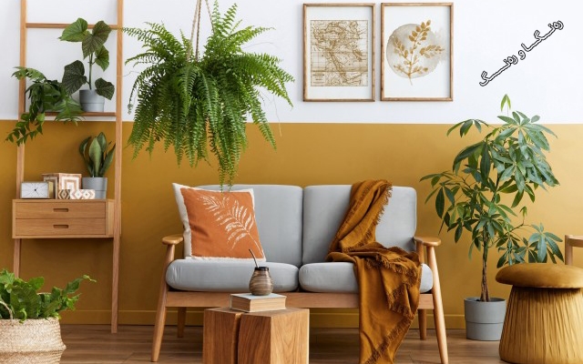 ڕازاندنەوەی ماڵ بە ڕووەك