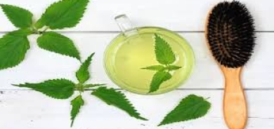 ما فوائد الشاي الأخضر للشعر؟