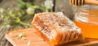 إنتاج اقليم كوردستان السنوي من العسل يصل إلى 1000 طن