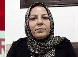 Hêvîn Silêman: Armanca êrişan valakirina taxên Kurdan e