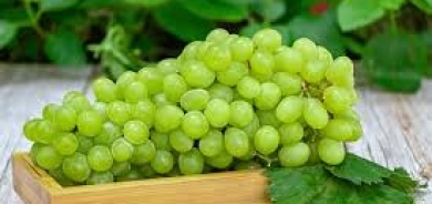 بينها التحكم في الوزن... ما الفوائد الصحية للعنب الأخضر؟