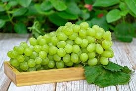 بينها التحكم في الوزن... ما الفوائد الصحية للعنب الأخضر؟