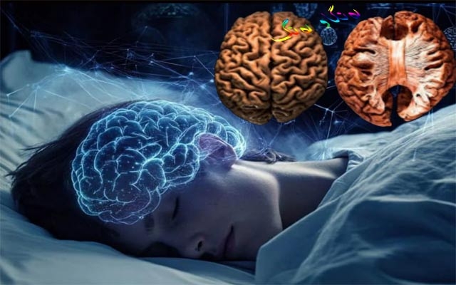 بۆ زانیاریت، نەخەوتن لە شەودا