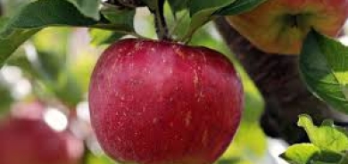 3 عادات أساسية يمكنها إحداث تغيير إيجابي في صحتك هذا العام