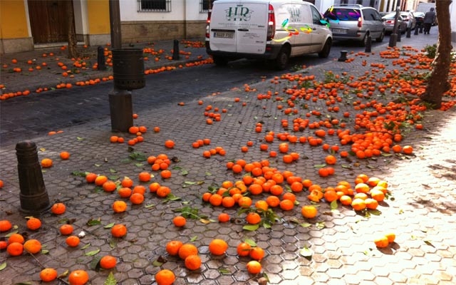 دیمەنە سەیرەكان،  هەڵوەرینی پرتەقاڵ