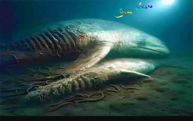 مردن و لەناوچوونی نەهەنگەكان