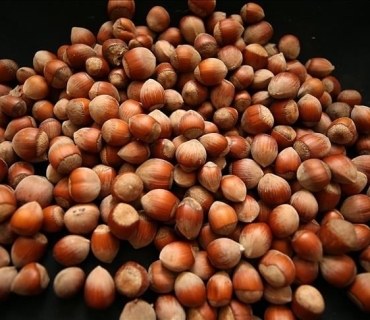 ئەڵمانیا لە ساڵی ٢٠٢٥دا دەبێتە گەورەترین شوێنی هەناردەکردنی فندقی تورکیا