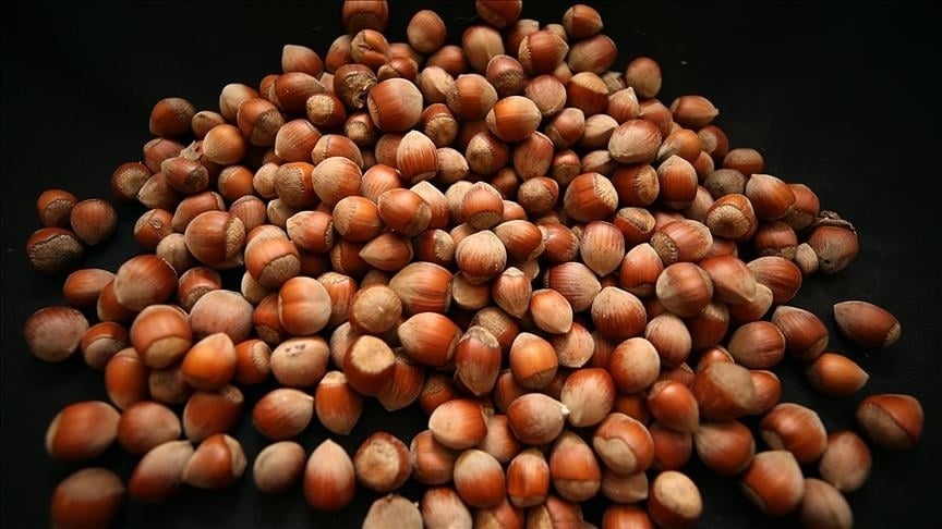 ئەڵمانیا لە ساڵی ٢٠٢٥دا دەبێتە گەورەترین شوێنی هەناردەکردنی فندقی تورکیا