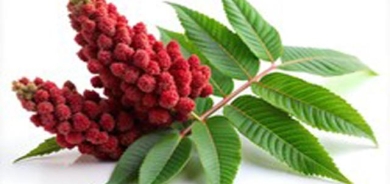 سماق بۆ خۆ پاراستن لە نەخۆشییە درێژخایەنەكان