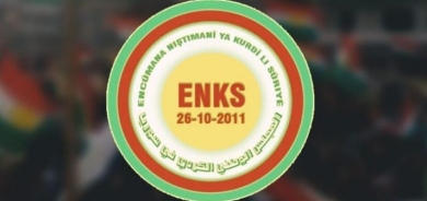 Syrian Transition Leader Recognizes Kurdish Rights in Decree; Kurdish Council Calls It a 