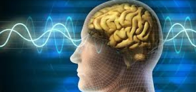 هل الذاكرة عقلانية؟