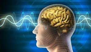 هل الذاكرة عقلانية؟