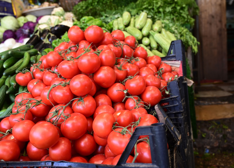 زراعة أربيل تعلن عن سلسلة من القرارات الجديدة بشأن الضرائب وحظر الاستيراد