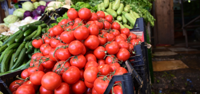 زراعة أربيل تعلن عن سلسلة من القرارات الجديدة بشأن الضرائب وحظر الاستيراد