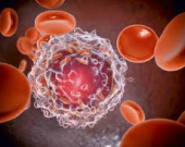 كيف تشق الخلايا السرطانية طريقها نحو الانتشار؟