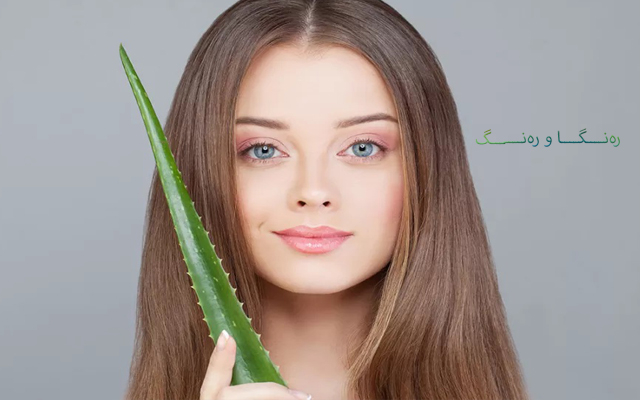 جێڵی ئالۆڤێرا بۆ جوانكاریی پێست و قژ