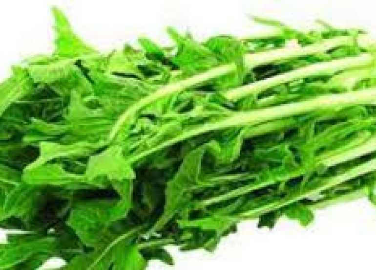 من المناعة إلى العظام... ماذا تقدم أوراق الهندباء لصحتك؟