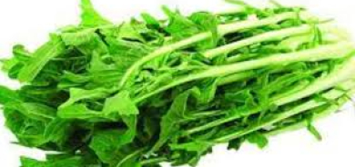 من المناعة إلى العظام... ماذا تقدم أوراق الهندباء لصحتك؟