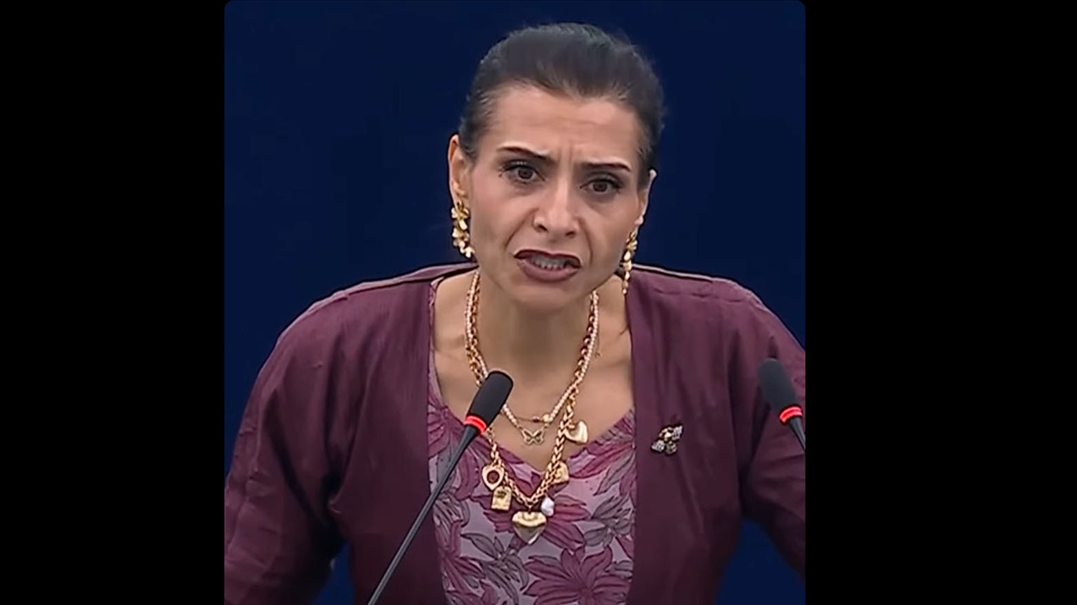 من أصول عراقية عربية.. برلمانية أوروبية بالزي الكوردي تدافع عن الكورد داخل البرلمان الأوروبي